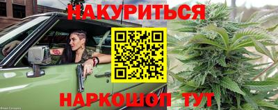 Альфа ПВП Аргун