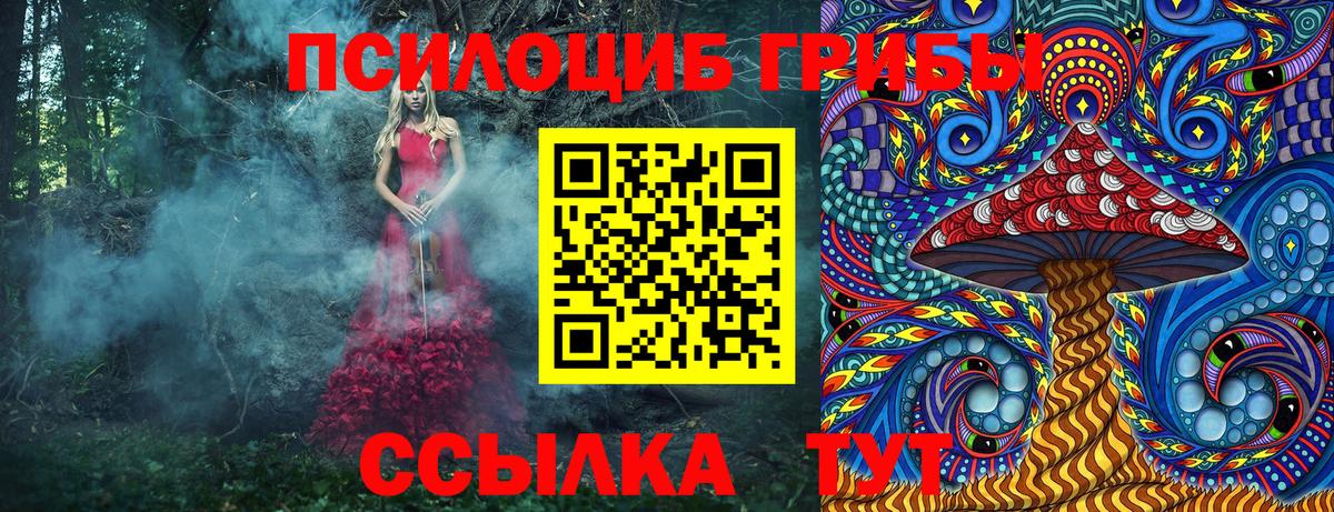Галлюциногенные грибы Psilocybe Видное