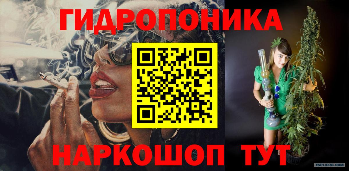 Конопля планчик Видное